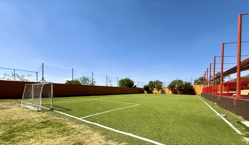 Sports Fields – Newland School